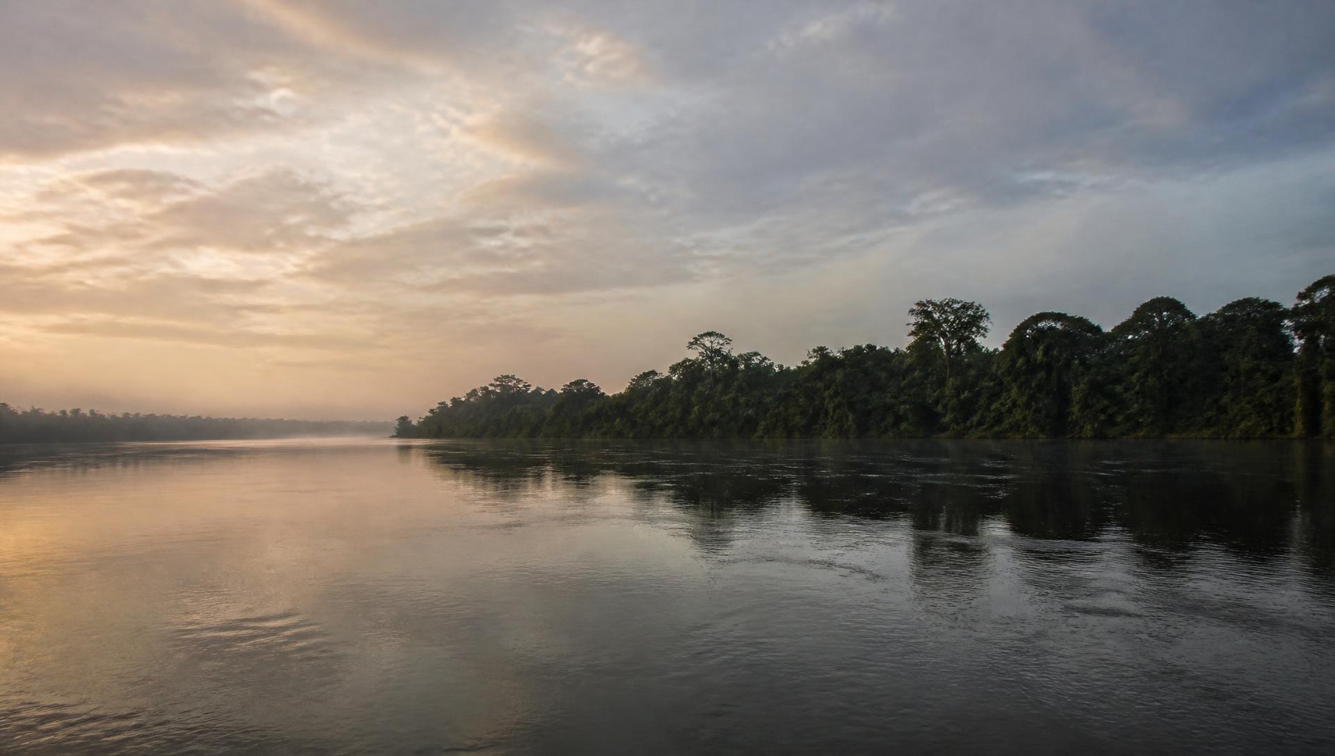 Rio amazônico ao amanhecer, com a floresta ao fundo